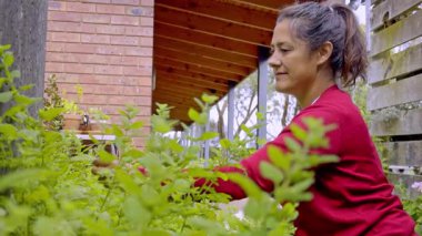 Bir kadın bahçesiyle ilgilenir, yemyeşil bitkilerle çevrili, doğayla bağdaştıran, rahatlama ve farkındalık yaratan huzurlu bir günlük rutini örnek verir.