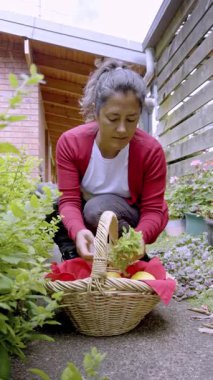 Canlı kırmızı hırkalı bir kadın bahçe yolunda diz çöküp hasır bir sepete taze yeşil otlar yerleştiriyor. Günlük huzurlu bir bahçe düzenini somutlaştırıyor.