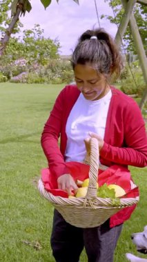 Kırmızı hırkalı bir kadın bahçesinde taze meyve toplayarak güneşli bir günün tadını çıkarıyor. Elma ve kiraz dolu bir sepet taşıyor, sağlıklı bir yaşam tarzını somutlaştırıyor.