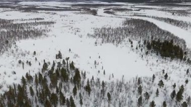 İsveç 'te Kiruna yakınlarındaki karlı geniş bir araziyi kaydeden hava aracı görüntüleri, sakin ve el değmemiş doğayı gözler önüne seriyor. Ormanlar ve açık alanlar karla kaplı, yukarıdan el değmemiş bir manzara sunuyor.