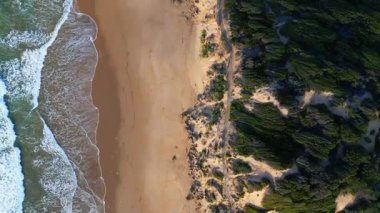 Avustralya 'nın Büyük Okyanus Yolu boyunca uzanan, yemyeşil ormanlar ve engebeli arazilerle çevrili, turkuaz okyanusla altın kumların buluştuğu el değmemiş bir sahilin çarpıcı hava manzarası..