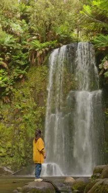 Sarı kazaklı bir kadın, Avustralya 'nın Büyük Okyanus Yolu' nda yemyeşil ve eğreltiotu ile çevrili uzun bir şelaleye hayran olarak kayaların üzerinde duruyor. Sahne sakin ve sakin..