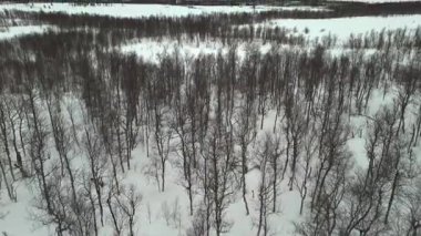 Drone 'un yakaladığı hava görüntüsü Norveç' te yoğun kar kaplı bir orman ve Kuzey kışında uzak dağları vurguluyor.