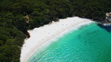 Nefes kesici bir hava aracı görüntüsünde kristal berrak turkuaz suları, yumuşak beyaz kumları ve yemyeşil yeşillikleri olan el değmemiş bir kumsal Avustralya 'nın Jervis Körfezi' nde huzurlu bir sahil cenneti sunuyor..