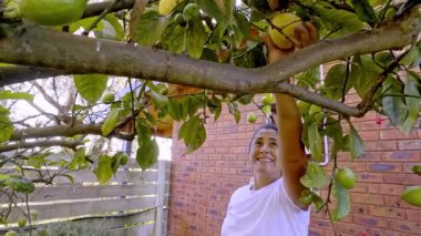 Beyaz gömlekli bir kadın yapraklı bir ağacın altında duruyor, bahçede olgun meyveleri toplarken gülümsüyor, yemyeşil ve kırsal tuğla bir duvarla çevrili.