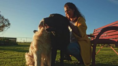 Bir kadın açık bir gökyüzünün altında, yemyeşil bir bahçede iki köpeği kucaklıyor. Sahne, her gün dışarıdaki bağlanma anlarını ve evcil hayvanlarla vakit geçirmenin zevkini yakalıyor.