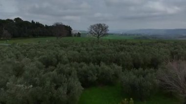 Sallanan yeşil tepeleri, zeytinlikleri, çıplak ağaçları, sessiz yolları ve bulutlu bir yay altında dağınık kırsal evleri olan huzurlu İtalyan kırsalının manzarası.