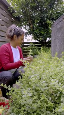 Çiçekli bir bahçede, yeşil bitkilerle dikkatlice ilgilenen bir kadın. Doğayla iç içe, günlük bahçıvanlık rutiniyle meşgul, huzur ve odaklanma arıyor.