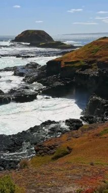 Avustralya, Phillip Adası 'ndaki engebeli sahil şeridinde berrak mavi gökyüzü altında çarpan okyanus dalgaları karşısında çarpıcı kaya oluşumları ve canlı bitki yaşamları yer alıyor..