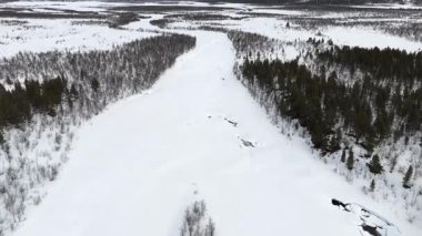 İHA görüntüleri, İsveç 'in Kiruna kenti yakınlarındaki kozalaklı ağaçlarla kaplı geniş bir karlı orman manzarası yakalıyor ve uzak bölgeye huzurlu bir hava perspektifi sunuyor..