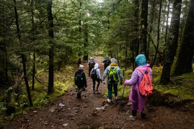 Canlı yağmurluklar ve sırt çantaları giyen bir grup yürüyüşçü yemyeşil, sisli orman patikalarından geçiyor. Latin ve Latin kökenli bireyler de dahil olmak üzere çeşitli gruplar, sakin ve yağmurlu yürüyüşlerin keyfini çıkarıyorlar..