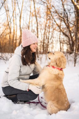Gülümseyen bir kadın ve Golden Retriever 'ının karda oynadığı bir kış sahnesi. Pembe şapkalı ve eldivenli kadın, köpeğin neşeli arkadaşlığından zevk alıyor..