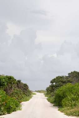 Cozumel 'in bulutlu bir gökyüzünün altında çeşitli yeşilliklerle çevrili canlı doğal manzarası boyunca hareket eden kumlu bir yolun sakin görüntüsü Karayipler' in dingin güzelliğini gözler önüne seriyor..