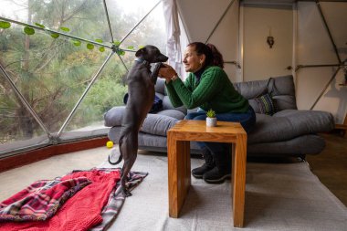 Yeşil kazaklı bir kadın köpeğiyle modern bir glamping 'in içinde oynuyor. Doğal ışık odayı dolduruyor, sıcak bir atmosfer yaratıyor, aralarındaki bağı vurguluyor..