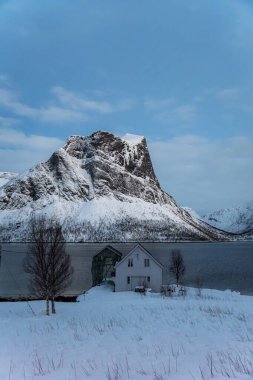 Senja 'da karla kaplı görkemli bir dağa karşı kurulmuş geleneksel bir Norveç evinin bu huzurlu manzarası karla kaplı..