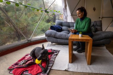 Yeşil kazaklı bir kadın kanepeye oturur ve telefonunu glamping 'in içinde kullanır. Köpeği bir battaniyeye uzanmış, bir oyuncakla oynuyor. Doğal ışık büyük pencerelerden süzülür.