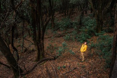 Parlak sarı paltolu bir kişi sık bir ormanın ortasında, göz kamaştırıcı bir yerde duruyor. Bireyler yukarı bakıyor, etrafları yüksek ağaçlar ve zengin yeşil yapraklarla çevrili bir orman zemininde..