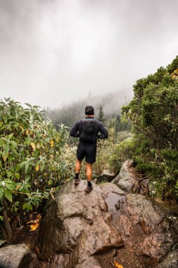 Desierto de los Leones, Meksika 'daki sisli bir ormana bakan tanınmayan bir erkek yürüyüşçünün arka görüntüsü.