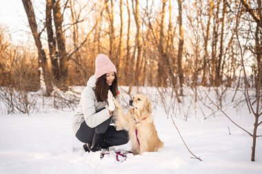 Kış kıyafetli bir kadın, karlı bir ormanda altın av köpeğiyle neşe içinde etkileşime girer. Güzel bir kış manzarasının ortasında birbirlerine bağlanıp, arkadaşlıklarını gösteriyorlar..