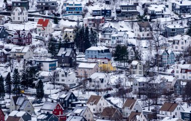Norveç, Narvik 'te karla kaplı yamaçlara kurulmuş çeşitli renkli evlerin yer aldığı pitoresk bir kış manzarası..