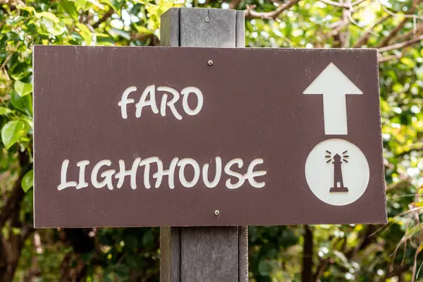 Cozumel Adası 'ndaki yemyeşil yemyeşil alanda hem İspanyolca hem de İngilizce etiketlenmiş, yerel ve turist dostu navigasyonu yansıtan bir deniz fenerinin yönlerini gösteren bir tabela..