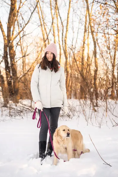 Beyaz ceketli ve pembe şapkalı bir kadın, karlı bir ormanda altın av köpeğiyle huzurlu bir yürüyüş yapıyor. Güneş ışığı sahnede sıcak bir parıltı yayar ve sakin bir kış anı yaratır..