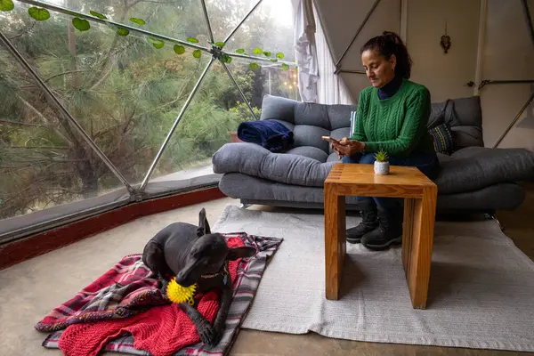 Yeşil kazaklı bir kadın kanepeye oturur ve telefonunu glamping 'in içinde kullanır. Köpeği bir battaniyeye uzanmış, bir oyuncakla oynuyor. Doğal ışık büyük pencerelerden süzülür.