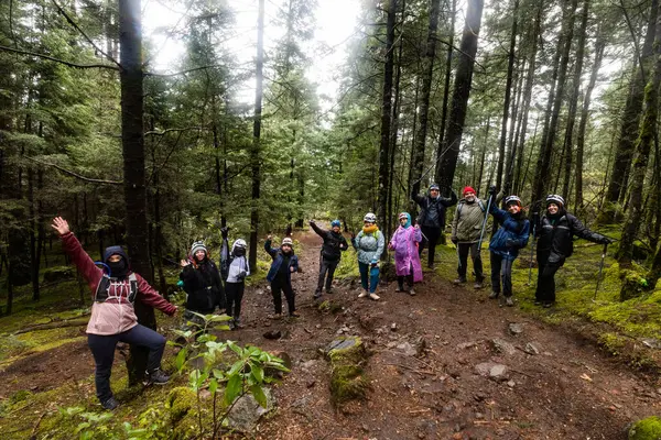 Çeşitli bir grup yemyeşil, yemyeşil bir ormanda yağmurlu bir yürüyüşe çıkıyor. Renkli giysiler içinde, puslu havayı, sergilenen macerayı ve birlikteliği kucaklarlar..