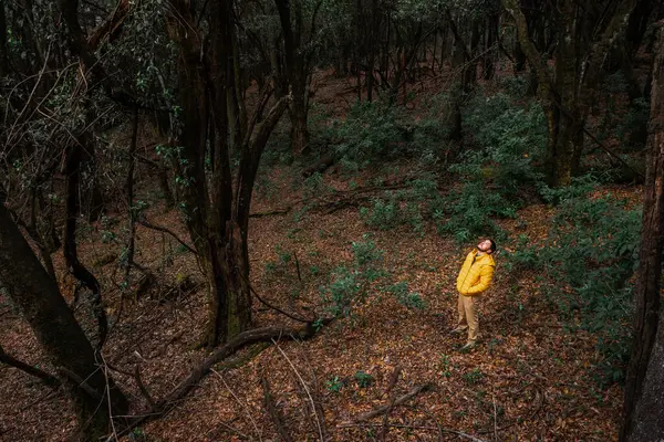 Parlak sarı paltolu bir kişi sık bir ormanın ortasında, göz kamaştırıcı bir yerde duruyor. Bireyler yukarı bakıyor, etrafları yüksek ağaçlar ve zengin yeşil yapraklarla çevrili bir orman zemininde..