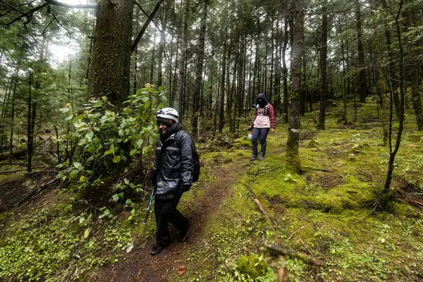 İki yürüyüşçü yağmurlu bir günde yemyeşil bir ormanı keşfeder. Su geçirmez giysiler giyip, uzun ağaçların altındaki yosun kaplı arazide geziniyorlar..