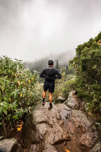Desierto de los Leones, Meksika 'daki sisli bir ormana bakan tanınmayan bir erkek yürüyüşçünün arka görüntüsü.
