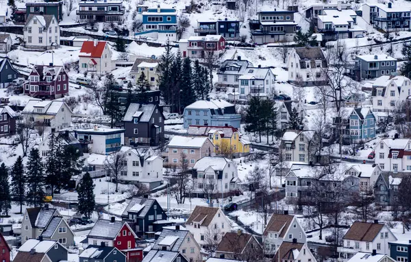 Norveç, Narvik 'te karla kaplı yamaçlara kurulmuş çeşitli renkli evlerin yer aldığı pitoresk bir kış manzarası..