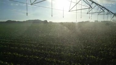 Victoria, Avustralya 'nın manzaralı manzarası, parçalı bulutlu gökyüzünün altında modern sulama sistemiyle geniş bir alan sergiliyor, bölgenin tarım canlılığını vurguluyor..