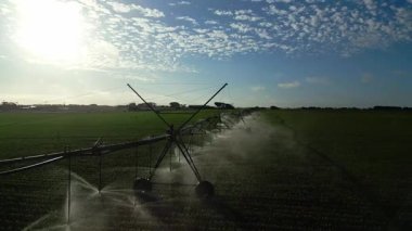 Victoria, Avustralya 'da, açık mavi gökyüzünün altında dağınık bulutlarla yayılan yeşil alanların havadan görüntüsü. Sakin kırsal alan bölgenin doğal güzelliğini vurguluyor