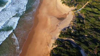 Avustralya 'nın Büyük Okyanus Yolu boyunca uzanan, yemyeşil ormanlar ve engebeli arazilerle çevrili, turkuaz okyanusla altın kumların buluştuğu el değmemiş bir sahilin çarpıcı hava manzarası.