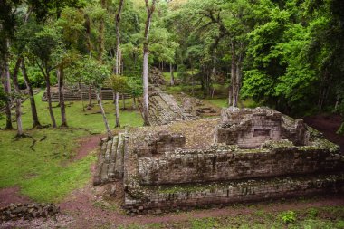 Copan 'daki Maya harabelerinin hava manzarası orman ve yeşil bitki örtüsüyle çevrili, Honduras.