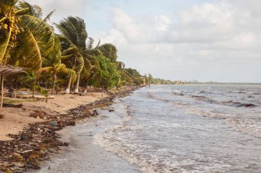 Belize Plajı 'ndaki Plastik Kirliliği