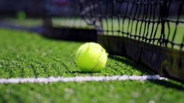 Meksika 'da güneşli bir günde yakalanan bir kişinin eli, ağların yanındaki yeşil tenis kortunda uzanan parlak sarı bir tenis topunu almak için uzanır.