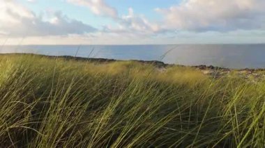 Santo Domingo 'nun kıyı şeridinin büyüleyici manzarası yemyeşil otlar ve uçsuz bucaksız mavi okyanus