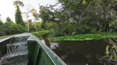 Peru 'daki Amazon Nehri' nin sakin manzarası, gündoğumunda ormanın yemyeşil sularını ve yansıtıcı sularını yakalıyor. Seyahat ve macera meraklıları için mükemmel.