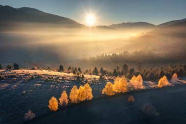 Sonbaharda gündoğumunda alçak bulutlarda turuncu ormanın havadan görünüşü. Sonbaharda sisli kırmızı ve portakal ağaçları olan tepeler. Dağları, sisli ormanları, güneş ışınları olan güzel bir manzara. Ormanın üst drone görüntüsü