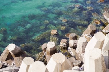 Külkedisi, kristal berrak turkuaz suyla Muscat Corniche 'de dalgalar içerir.