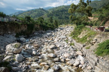 Nehir yatağı Kilembe Köyü, Rwenzori Dağları, Uganda 'da taşlarla kaplı.
