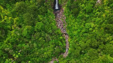 Yeni Zelanda 'da yemyeşil ormanlarla çevrili engebeli uçurumlardan aşağı süzülen nefes kesici bir şelale büyüleyici bir sükunet ve güzellik manzarası yaratıyor.