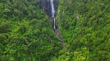 Yeni Zelanda 'nın yoğun, canlı yeşilliklerinde çağlayan görkemli bir şelalenin büyüleyici hava manzarası dokunulmamış doğanın ve çeşitli manzaraların nefes kesici güzelliğini gözler önüne seriyor.