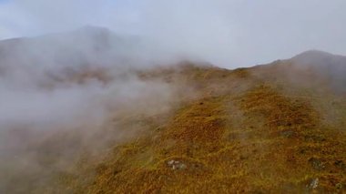 Sessiz bir sonbahar sabahında Wanaka, Yeni Zelanda 'nın kayan tepelerini sis kaplar. Sonbahar yapraklarının altın renkleri sislerin arasından süzülerek huzurlu ve ruhani bir manzara yaratıyor..