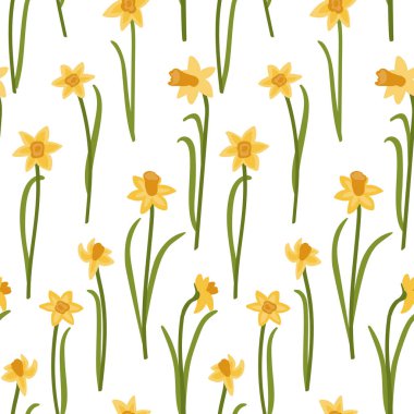 Narcissus çiçekleri. Çiçeksiz bahar çiçeği deseni. Beyaz arka planda stilize çiçekler. Kumaş, ambalaj, duvar kâğıdı, tabak, ev yapımı tekstil baskısı.