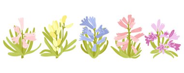 İlkbahar sümbül çiçekleri. El yapımı bahar botanik tasarımı. Dekoratif çiçekleri ayır.