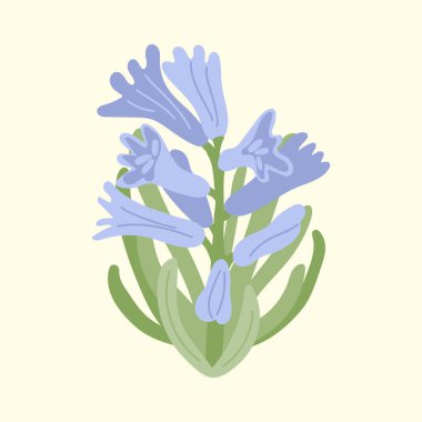 Mavi çiçekli sümbüller. El yapımı botanik tasarımı. Eski tasarımlar için dekoratif çiçekler.