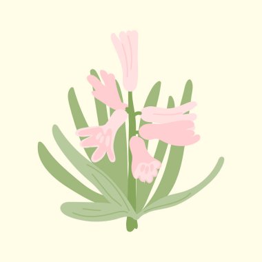 Pembe çiçekli sümbüller. El yapımı botanik tasarımı. Eski tasarımlar için dekoratif çiçekler.